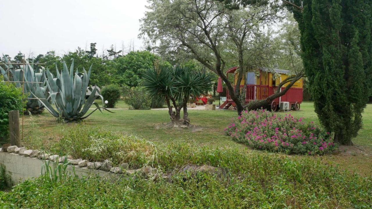 タラスコンMas Maurane - Le Bougainvillier Aux Portes D'Arlesアパートメント エクステリア 写真
